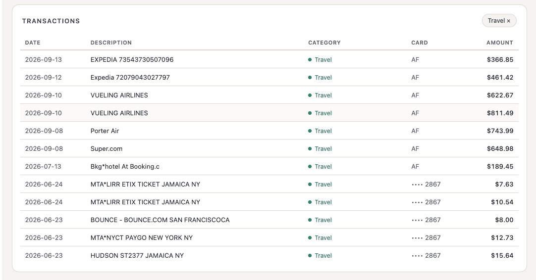 The transaction list filtered to the Travel category: date, description, category, which card was used and the amount, with airlines, hotels and transit fares listed together.